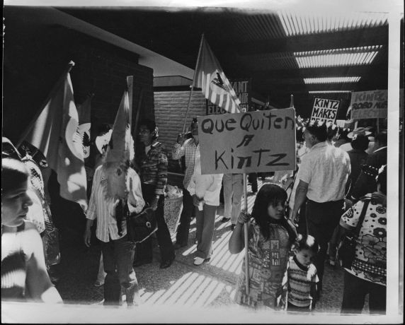 (3623) Demonstration, flags (3623) Demonstration, flags